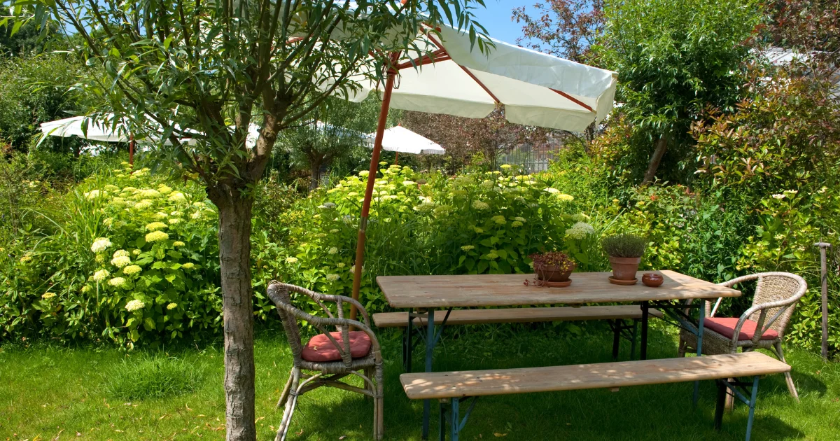 Outdoor garden shaded by tree, representing 50 cooling tips for Melbourne's summer